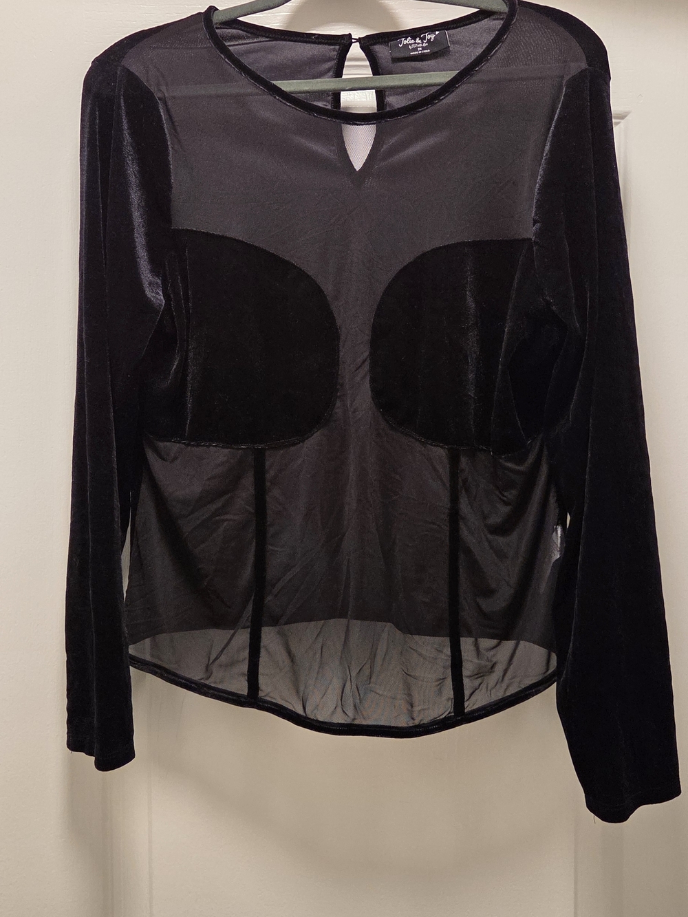 Jolie & Joy Black Sheer Velvet-Panel Long Sleeve Top 2x